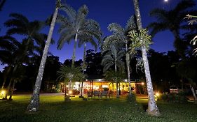 Daintree Siesta
