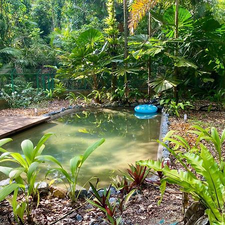 Villa Daintree Siesta Diwan Esterno foto