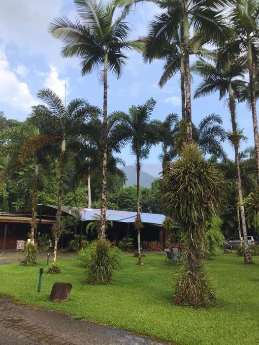 Villa Daintree Siesta Diwan Esterno foto