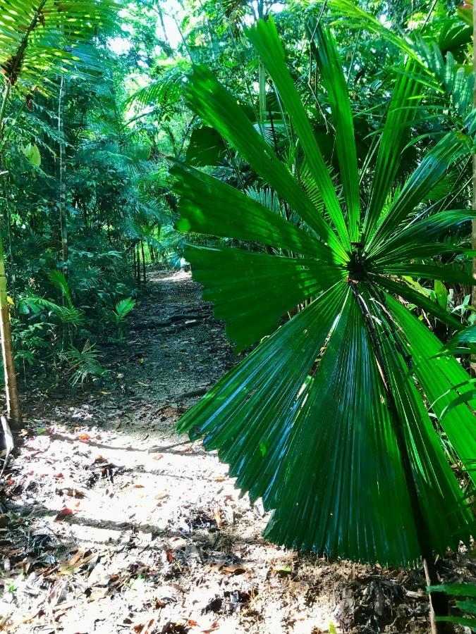 Villa Daintree Siesta Diwan Esterno foto